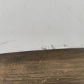 F510M-JK0M0 | Капот INFINITI G25/G35/G37/Q40 06-14 - Прев'ю 6