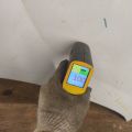 41002993151 | Капот BMW X1 E84 09- - Превью 19