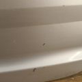 BB5Z-7840010-B | Крышка багажника FORD EXPLORER 10-20 - Превью 10