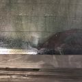 5C6845051 | Скло заднє VOLKSWAGEN JETTA USA 10-17 - Прев'ю 14