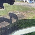 4M0 833 052 E | Дверь задняя правая AUDI Q7 15-19 - Превью 3