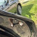 4M0 833 052 E | Дверь задняя правая AUDI Q7 15-19 - Превью 4