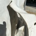 53801-33180 | Крило переднє праве TOYOTA CAMRY 40 06-11 - Прев'ю 11
