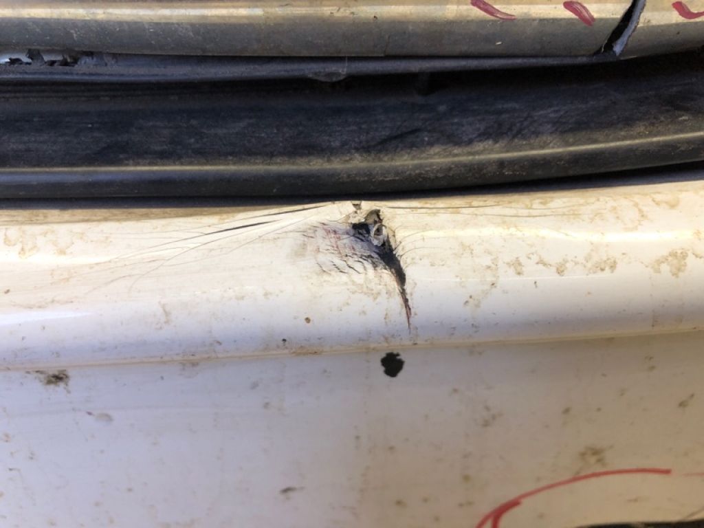 62022-5RW0J | Бампер передний NISSAN KICKS 20- - Фото 8