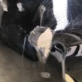 04711-T56-A50ZZ | Бампер передній HONDA CIVIC 21- - Прев'ю 5