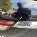 90100-9NC1A | Кришка багажника INFINITI QX60/JX35 12-20 - Прев'ю 5
