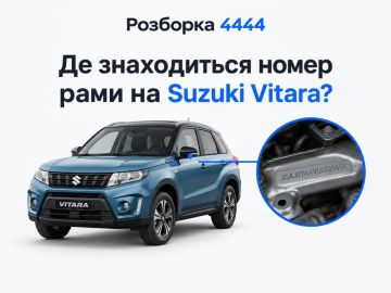 Где находится номер рамы на Suzuki Vitara?