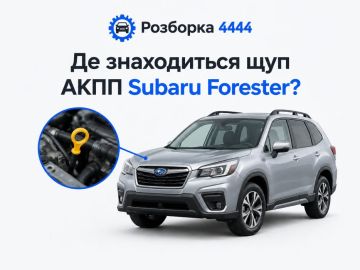 Где находится щуп АКПП Subaru Forester?