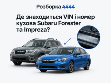 Где находится VIN и номер кузова Subaru Forester и Impreza?