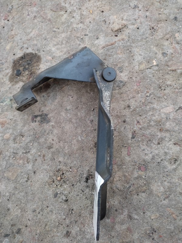 Петля капоту ліва NISSAN ALMERA 03-09 65401-BM430 — 2