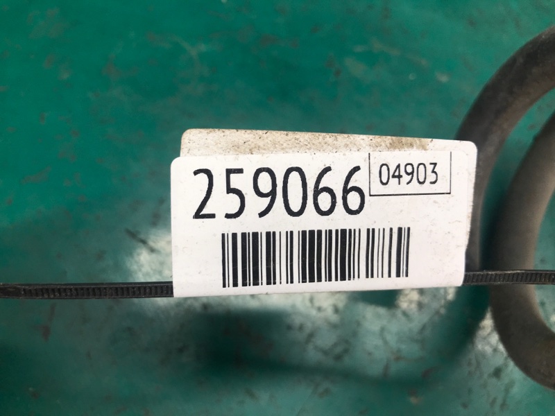 Пружина задньої підвіски NISSAN ROGUE 08-15 55020-JM10A — 2