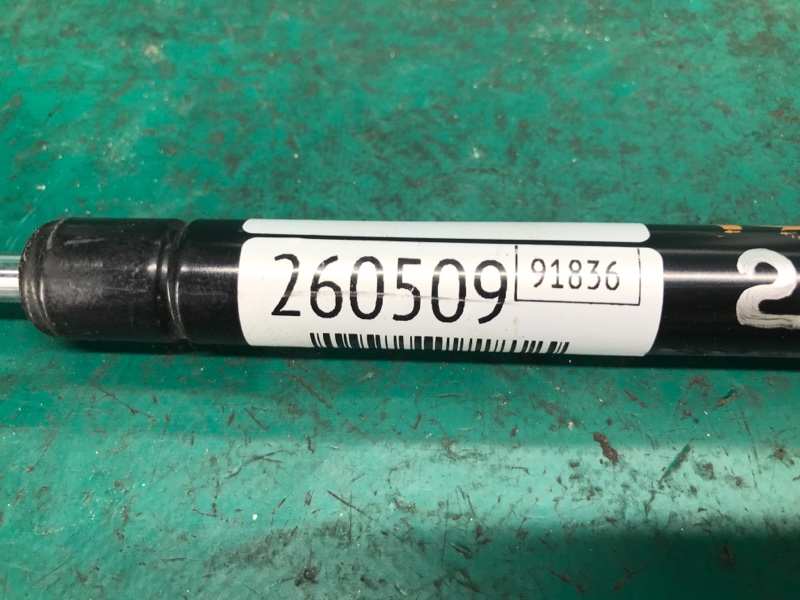 Амортизатор капоту TOYOTA SOLARA 03-09 53440-AA030 — 2