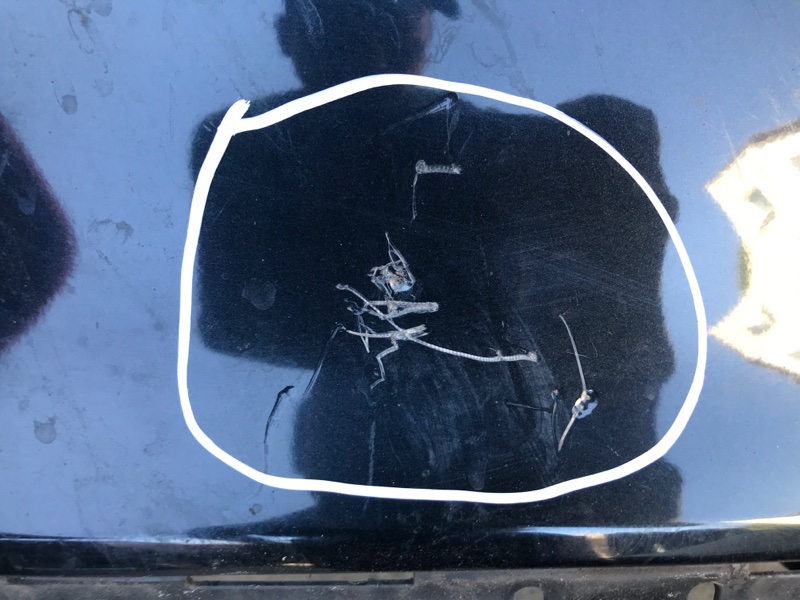 Бампер задній TOYOTA CAMRY 55 14-17 52159-06989 — 3